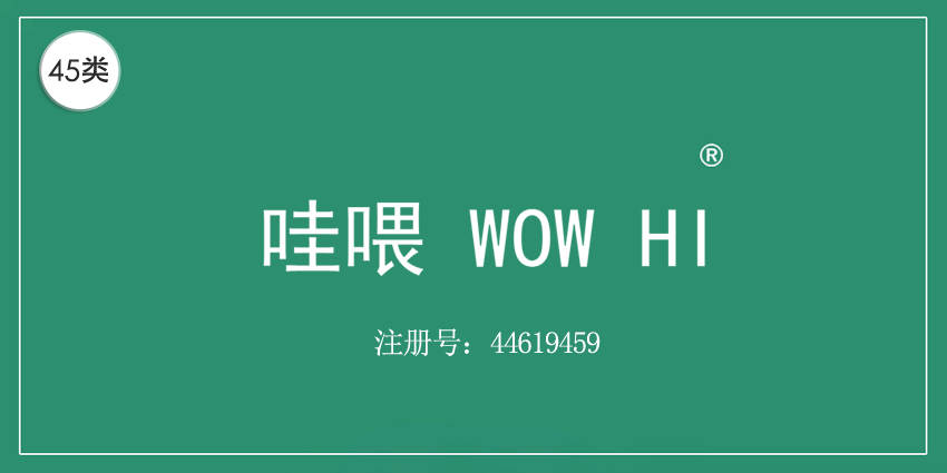 45類社會服務(wù)